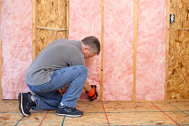 Best Commercial Insulation Services  in Grand Meadow, MN